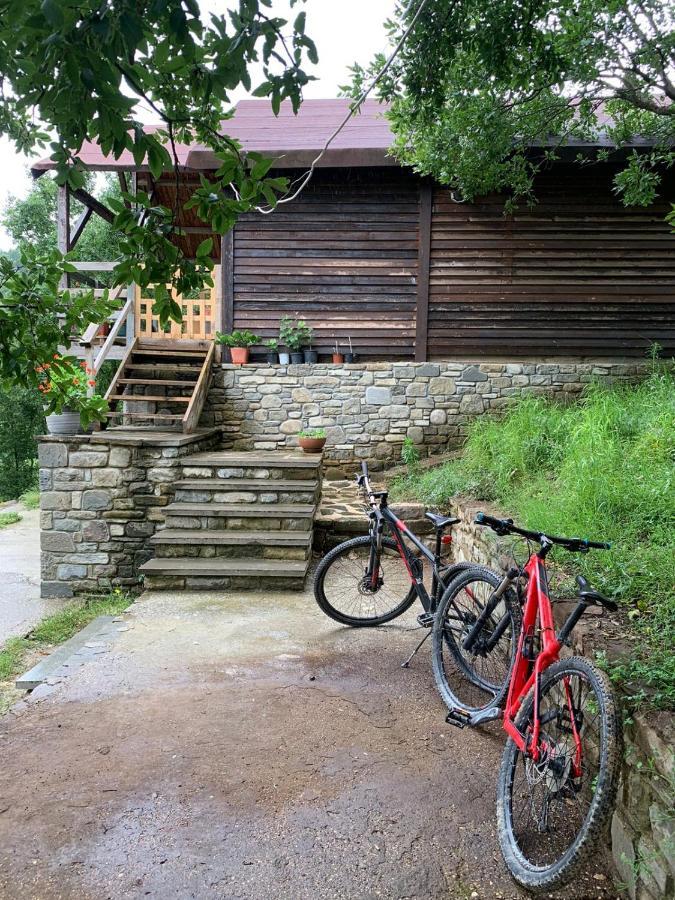 Вилла Origjina Farm Пермети Экстерьер фото